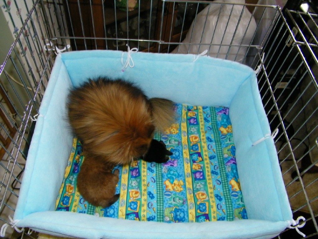 nurserybedblue.jpg