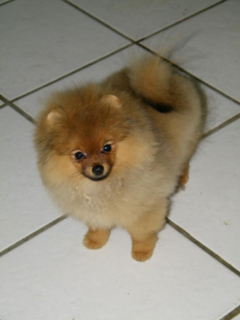 raisin4mo2.jpg