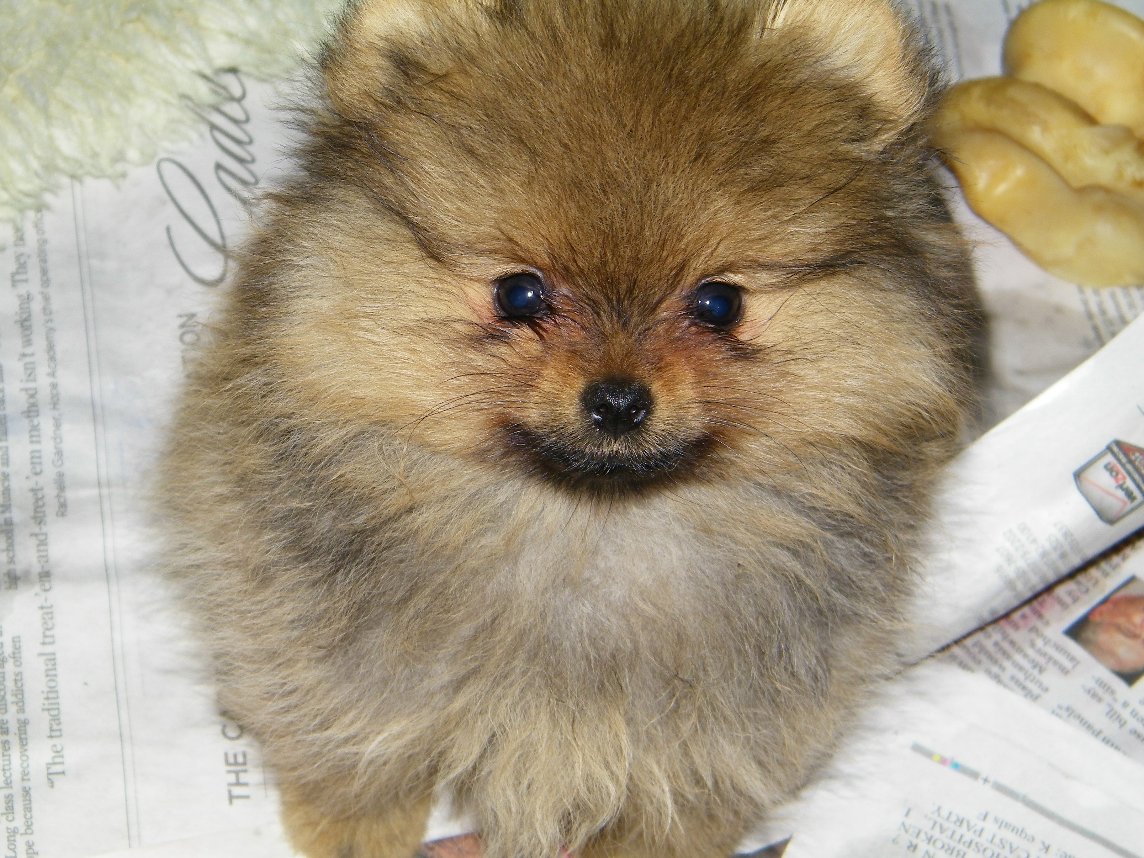 raisin9weeks4.jpg